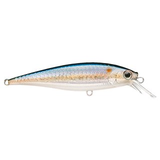 Lucky Craft Pointer 65 SP - MS American Shad