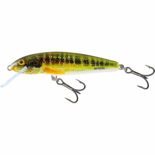 Salmo Holo Real Minnow 5cm Floating