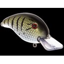 Livingston Dive Master Jr. 60 F - Baby Bass