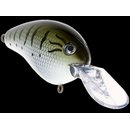 Livingston Dive Master 20 F - Baby Bass